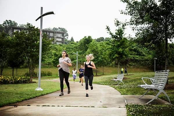 best parks for picnics