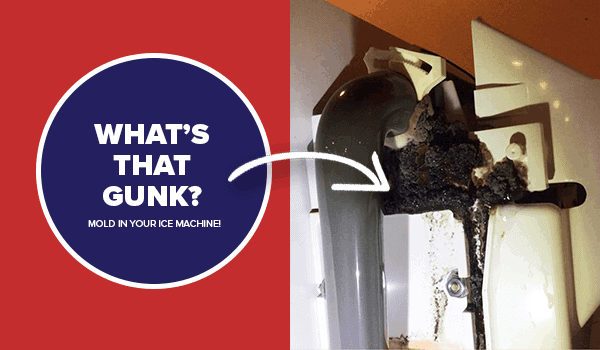 how-often-should-you-clean-a-commercial-ice-machine