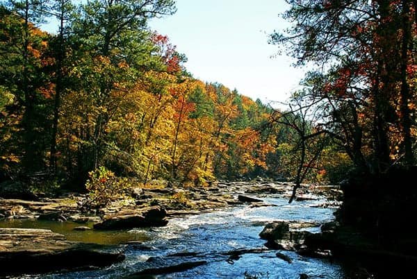 where-to-see-fall-foliage-in-Atlanta