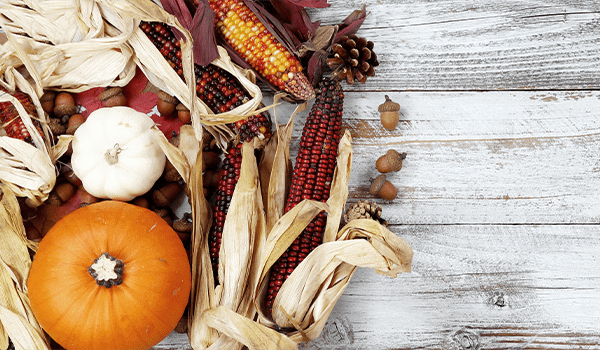 thanksgiving-dinner-planner