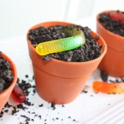 worms in dirt