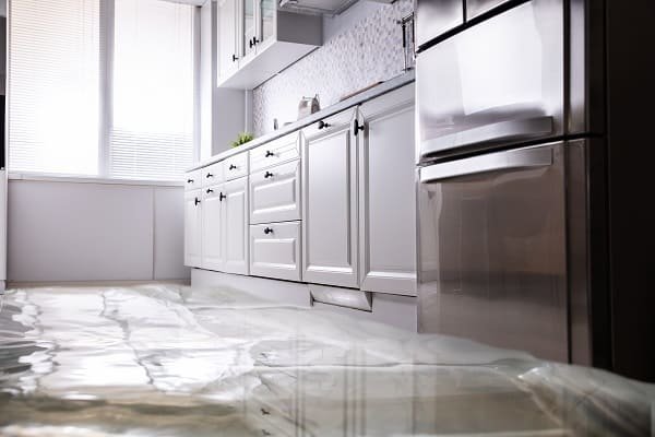 samsung refrigerator leaking water
